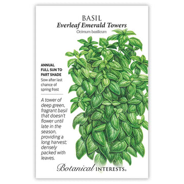 Basil 'Everleaf Emerald Towers'