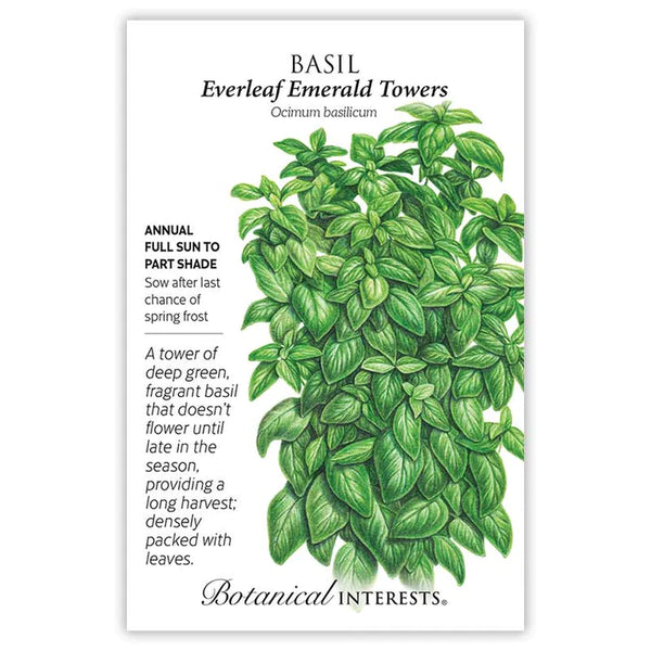 Basil 'Everleaf Emerald Towers'