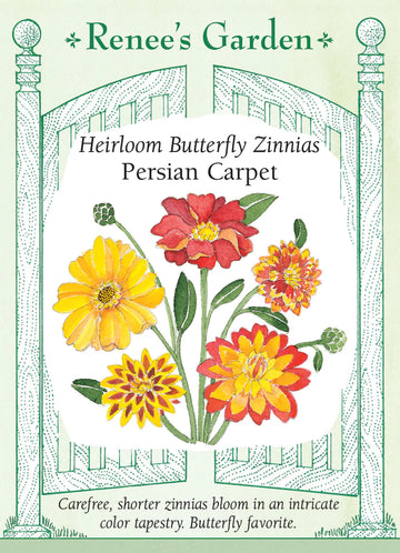 Zinnias 'Persian Carpet'