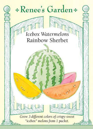 Watermelon 'Rainbow Sherbet'