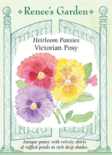 Pansies 'Victorian Posy'