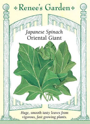 Spinach 'Oriental Giant' Japanese Spinach