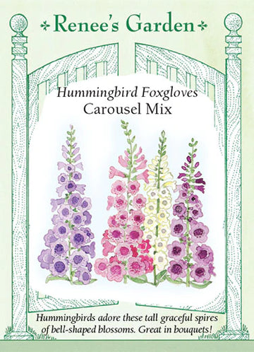 Foxglove 'Carousel Mix'