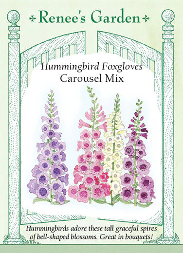 Foxglove 'Carousel Mix'