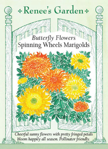 Marigold 'Butterfly Spinning Wheels'