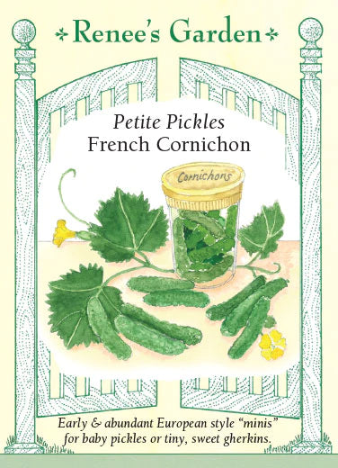 Cucumber Petite Pickles 'French Cornichon'
