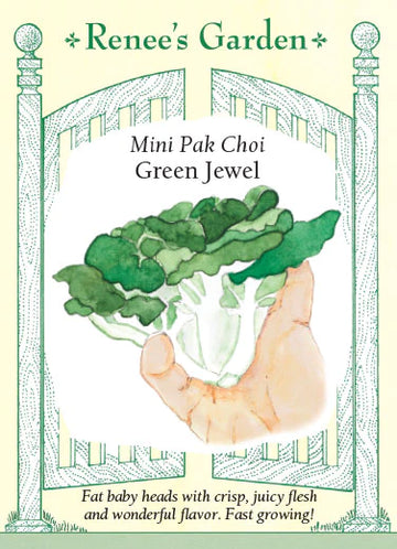 Pak Choi 'Green Jewel'
