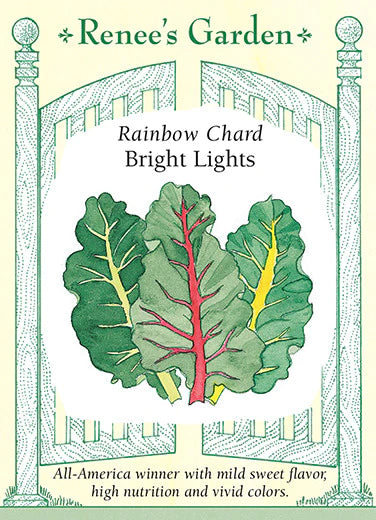 Chard 'Rainbow Bright Lights'