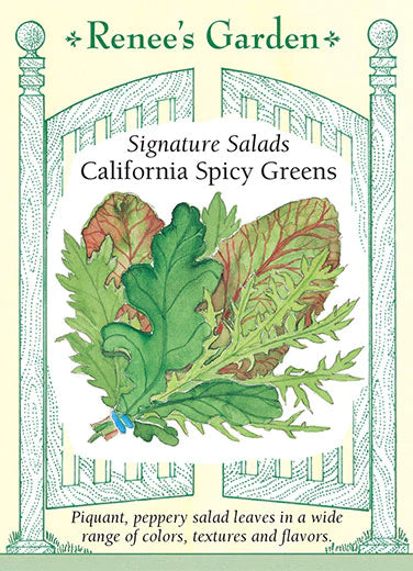 Lettuce 'California Spicy Greens'