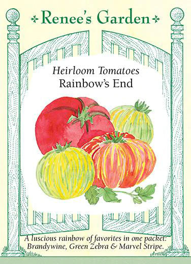 Tomato 'Rainbow’s End'