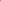 Paperwhite 'Ziva' in Bourdeaux Ceramic Pot