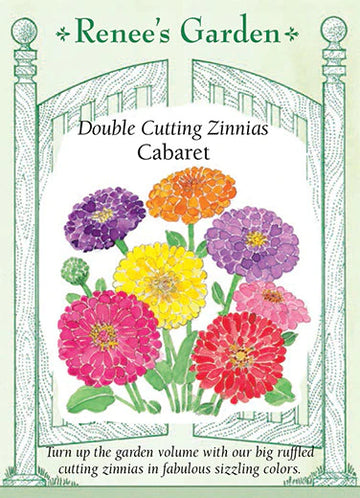 Zinnias 'Cabaret'