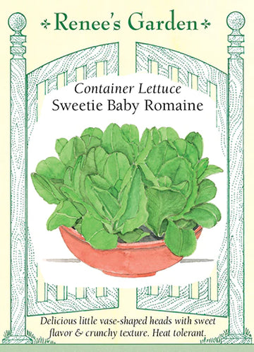 Lettuce 'Sweetie Baby Romaine'
