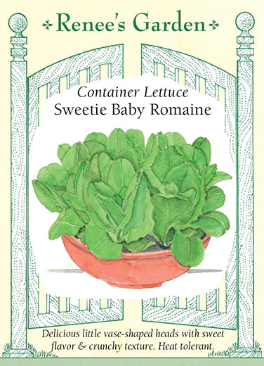 Lettuce 'Sweetie Baby Romaine'