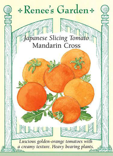 Tomato 'Mandarin Cross'