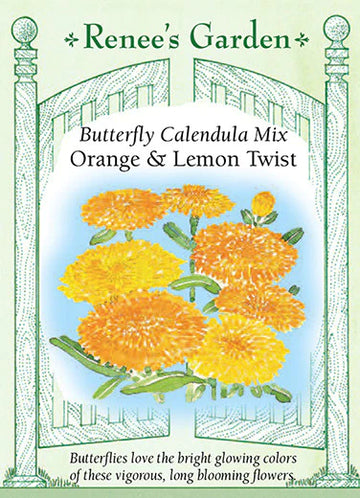 Calendula 'Orange Lemon Twist'