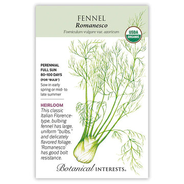 Fennel 'Romanesco'
