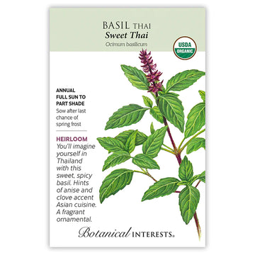 Basil 'Sweet Thai'