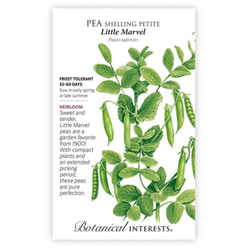 Pea Shelling 'Petite Little Marvel'