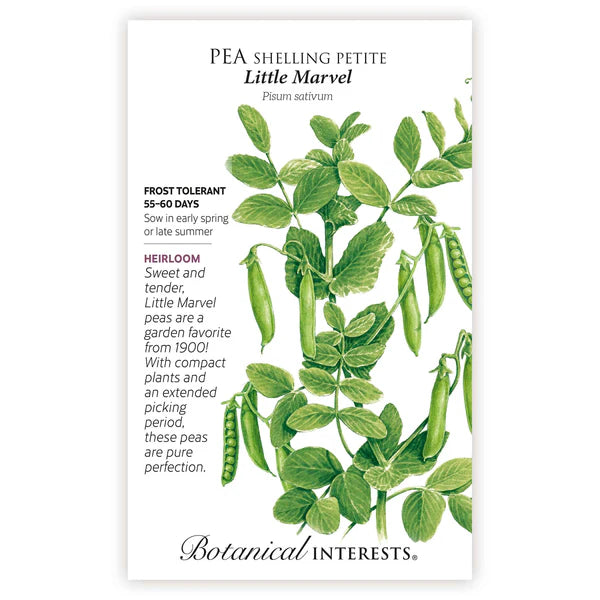 Pea Shelling 'Petite Little Marvel'