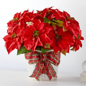 FTD Happiest Holidays Poinsettia