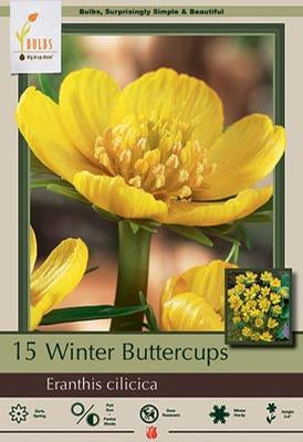 Eranthis Winter Buttercup