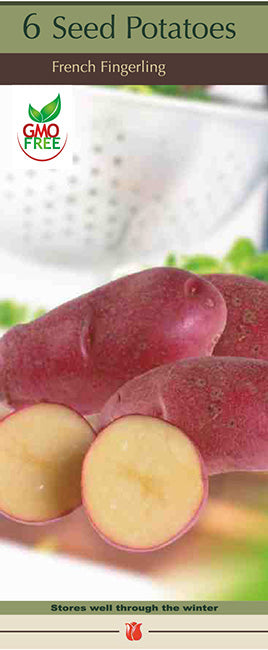 Potatoes 'French Fingerling'