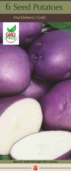 Potatoes 'Huckleberry Gold'
