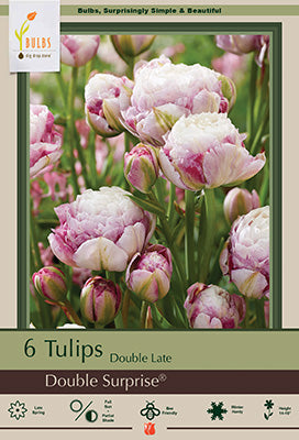 Tulip 'Double Surprise'