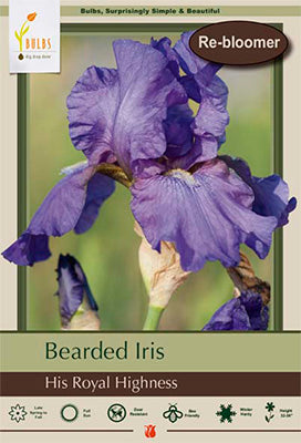 Iris germanica 'His Royal Highness'