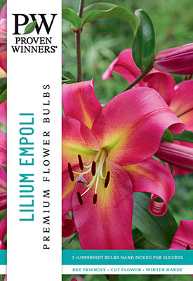 Proven Winners Lilium Oriental Trumpet Empoli