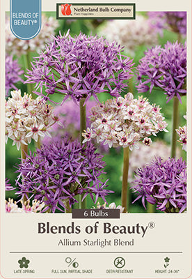 Blends of Beauty 'Starlight Blend'