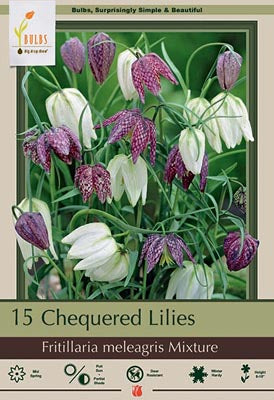 Fritillaria meleagris 'Mixture'