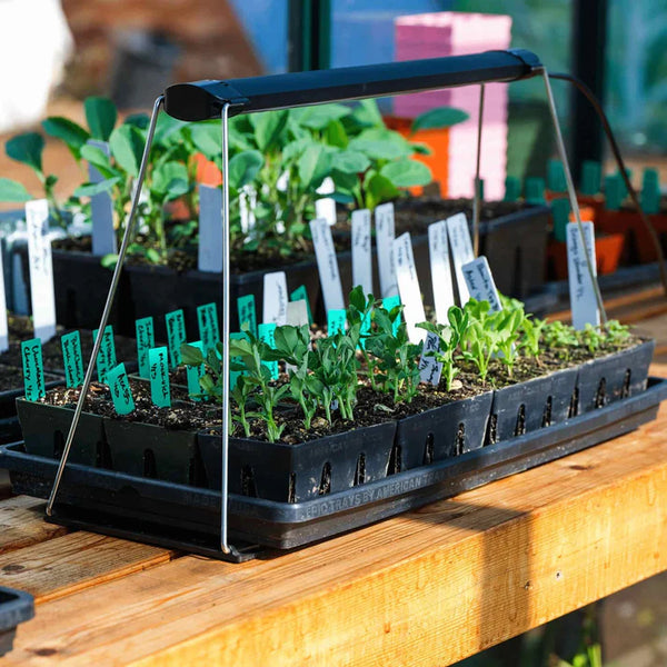 EPIC Gardening Seed Starting Grow Light