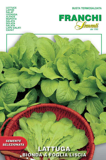 Lettuce Bionda a Foglia Liscia - Cut & Come Again