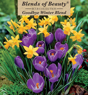 Blends of Beauty 'Goodbye Winter' Blend