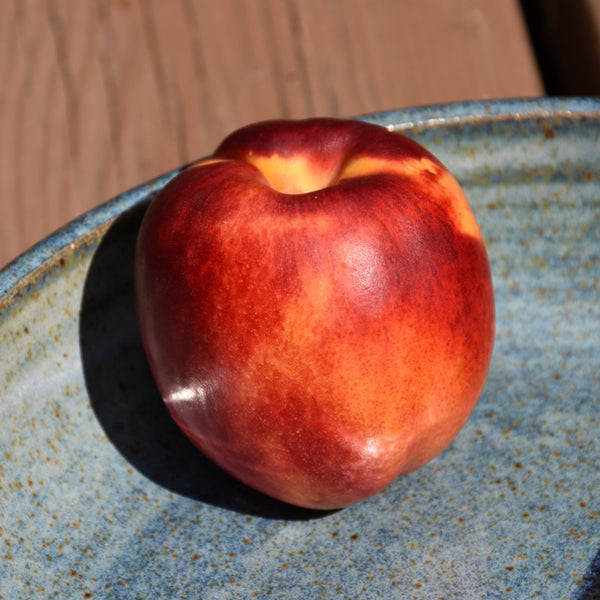 Nectarine ‘Independence’