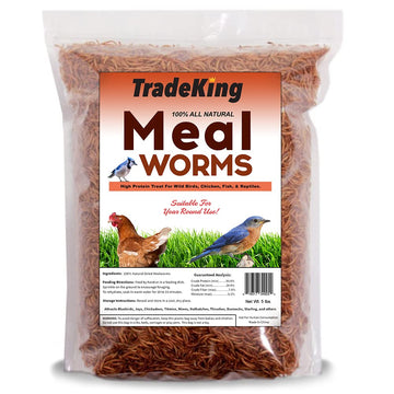 Meal Worms