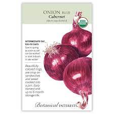 Onion 'Red Cabernet'