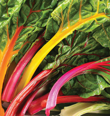 Swiss Chard 'Celebration'