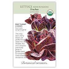 Lettuce 'Truchas Little Gem Red Romaine'