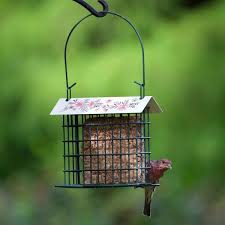 Suet Decorative Hanging Basket
