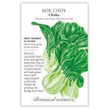 Bok Choy 'Choko'