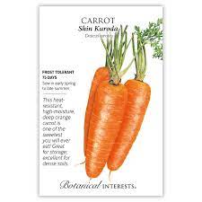 Carrot 'Shin Kuroda'