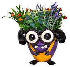 Planter Minion Crazy Look-Straight