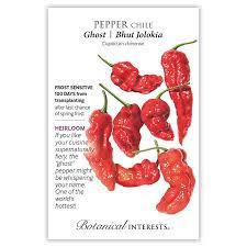 Pepper Chile 'Ghost Bhut Jolokia'