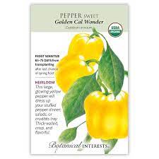 Pepper Sweet Bell 'Golden Cal Wonder'