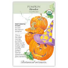 Pumpkin 'Howden'