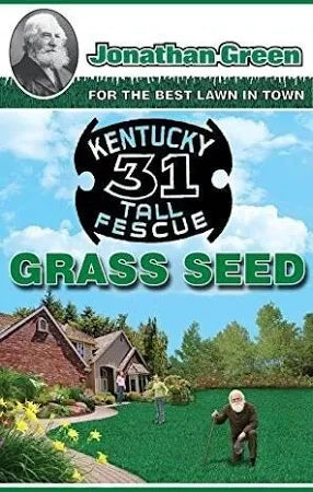 planting kentucky 31 grass seed Kentucky 31 Tall Fescue Grass Seed