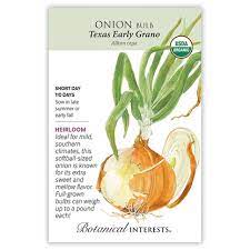 Onion 'Texas Early Grano'